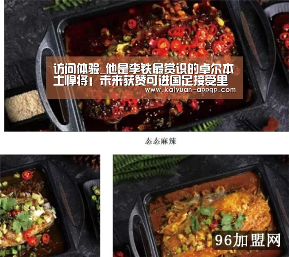 访问体验