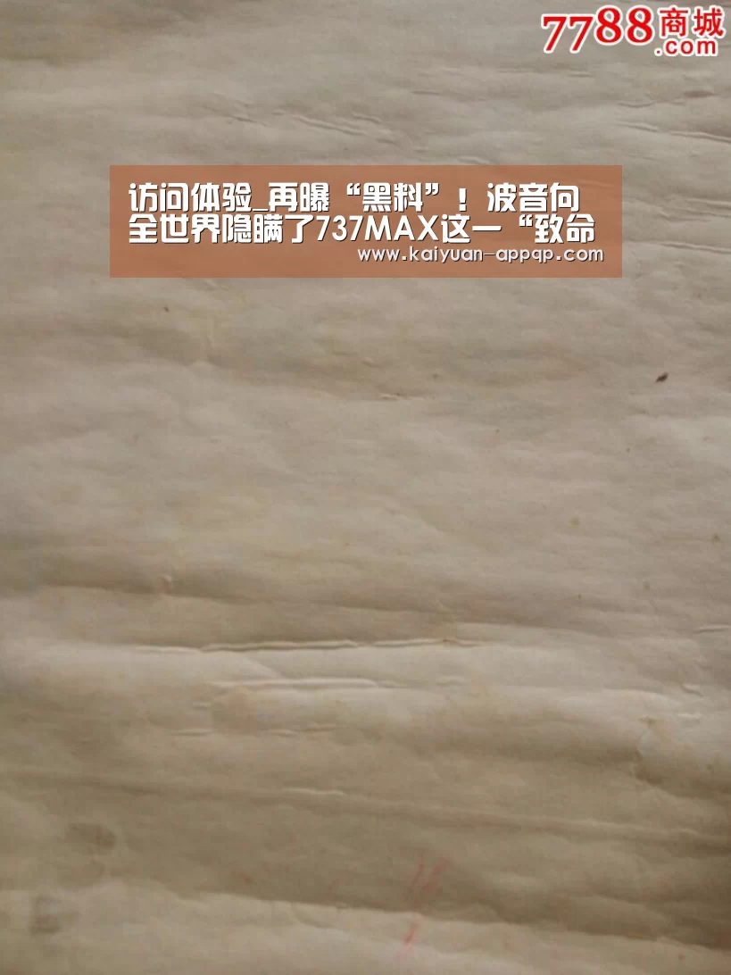 访问体验_再曝“黑料”!波音向全世界隐瞒了737MAX这一“致命问题”(图2) 使用教程