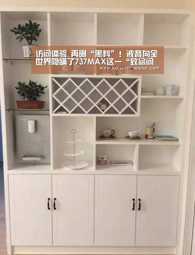 访问体验_再曝“黑料”!波音向全世界隐瞒了737MAX这一“致命问题”(图3) 访问体验