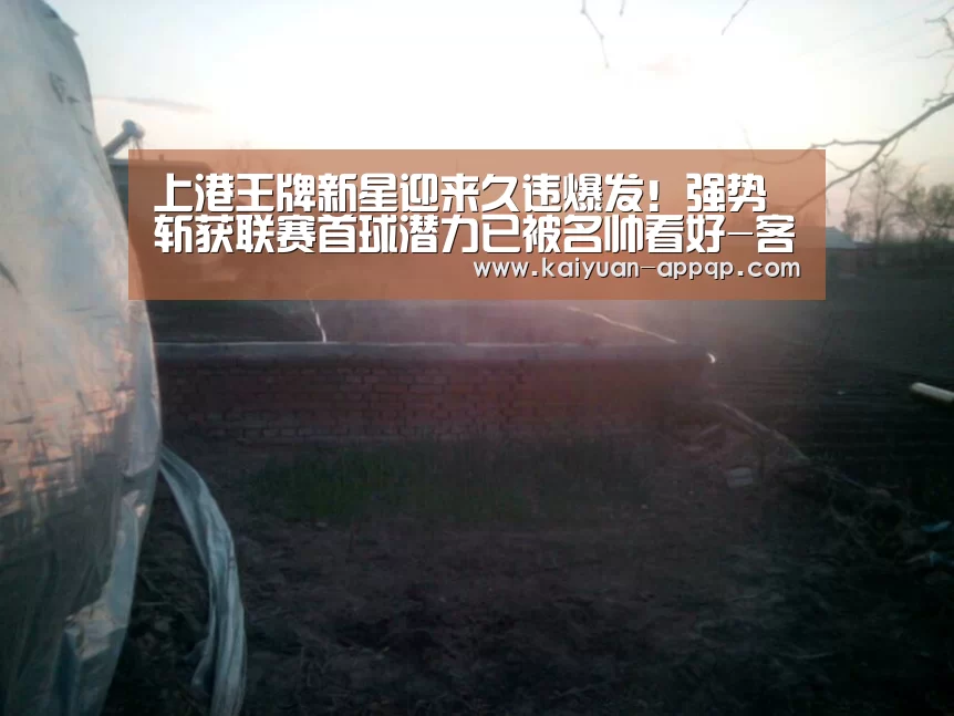 上港王牌新星迎来久违爆发!强势斩获联赛首球潜力已被名帅看好-客户端安装(图3) 访问体验