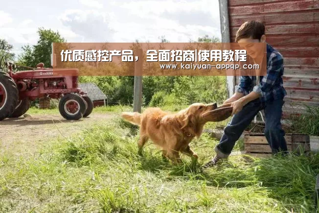 客户端安装